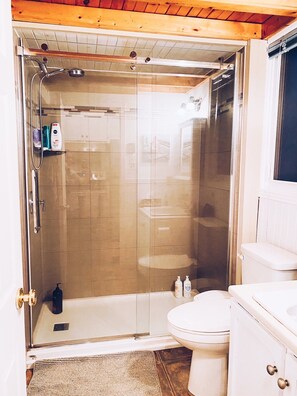 Shower, towels, toilet paper