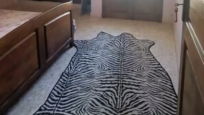 Quarto com penteadeira de madeira, tapete com padrão de zebra, janela e porta.