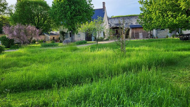 A rural landscape with a traditional stone house surrounded by lush greenery and trees. - Le Plessis-Lepage - "Le Gite" **** Calm-Space-Green at Azay-Le-Rideau (Azay-le-Rideau)