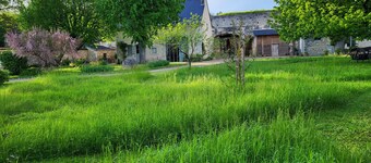 Le Plessis-Lepage - "Le Gite" **** Calm-Space-Green at Azay-Le-Rideau