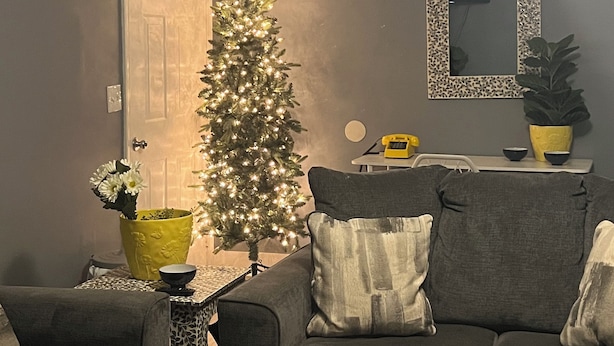 A living room with a dark gray sofa, a small table with a yellow vase and a potted plant, a Christmas tree with lights, and a ceiling fan. - Spacious 4-bedroom house in Columbus with privacy fence situated in the county! (Columbus)
