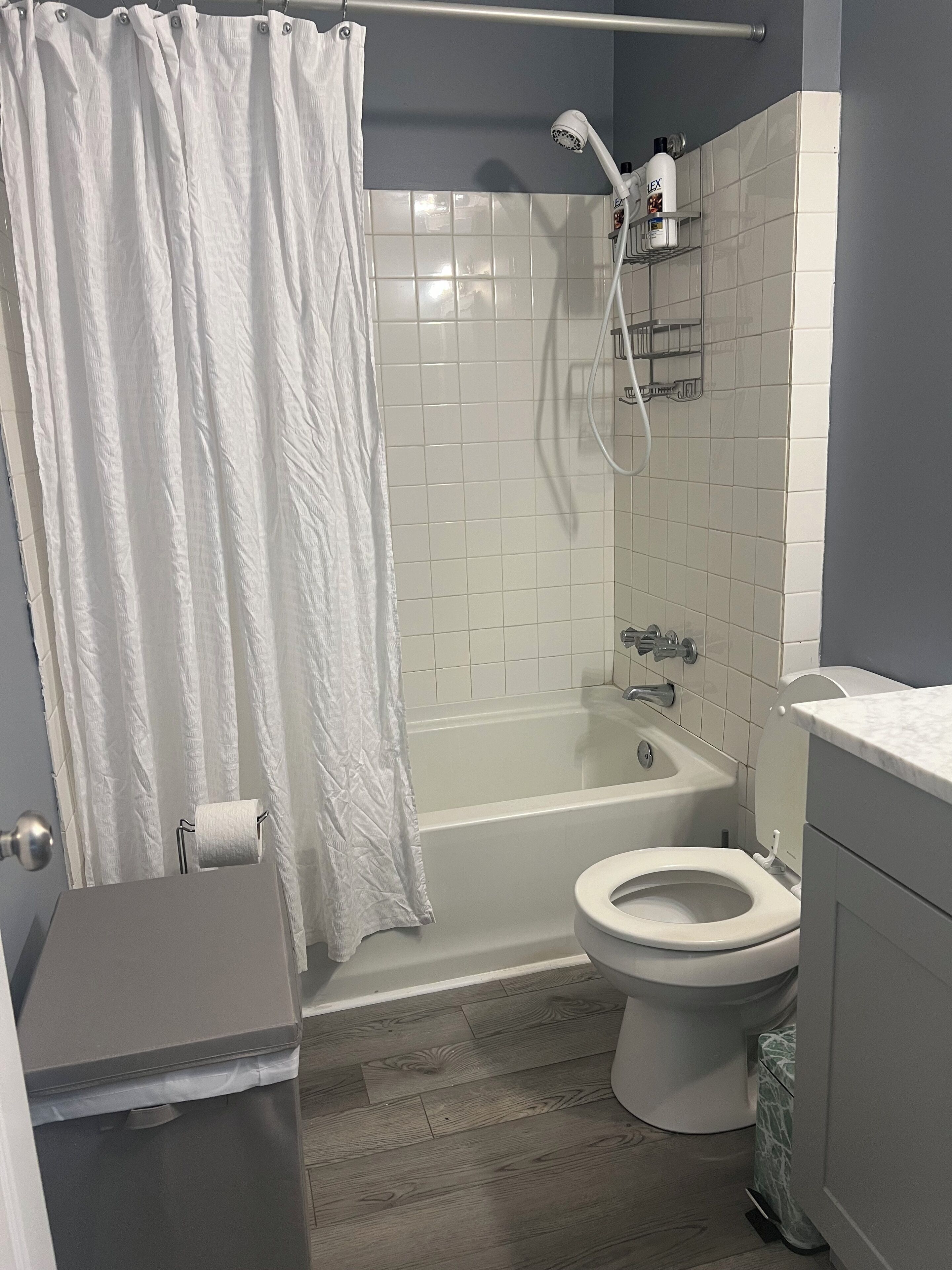 Hair dryer, towels, soap, toilet paper