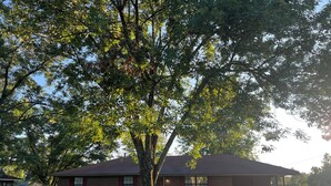 A single-story brick building with a sloped roof, a small front porch, and a well-maintained lawn. - Spacious 4-bedroom house in Columbus with privacy fence situated in the county! (Columbus)