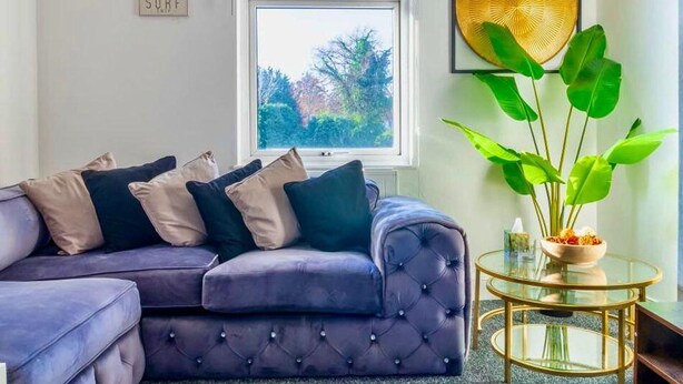 Een woonkamer met een paarse bank, een glazen salontafel en een grote groene plant.