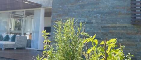 Facciata della struttura