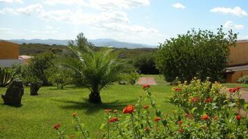 Jardim