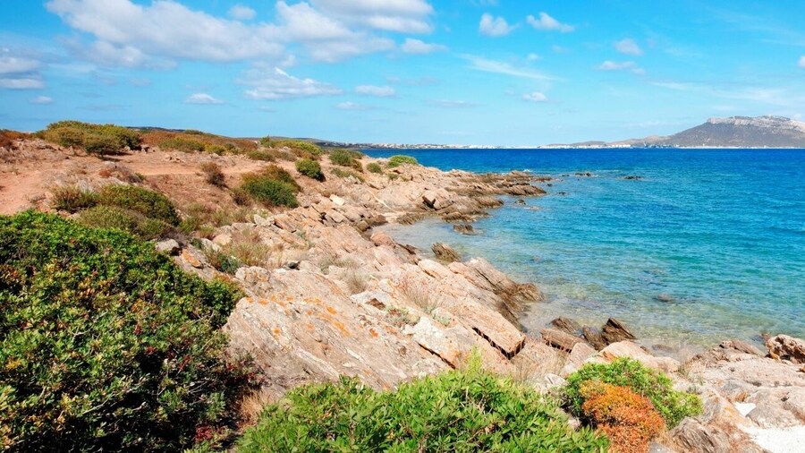 Hotiday Room Collection - Golfo Aranci