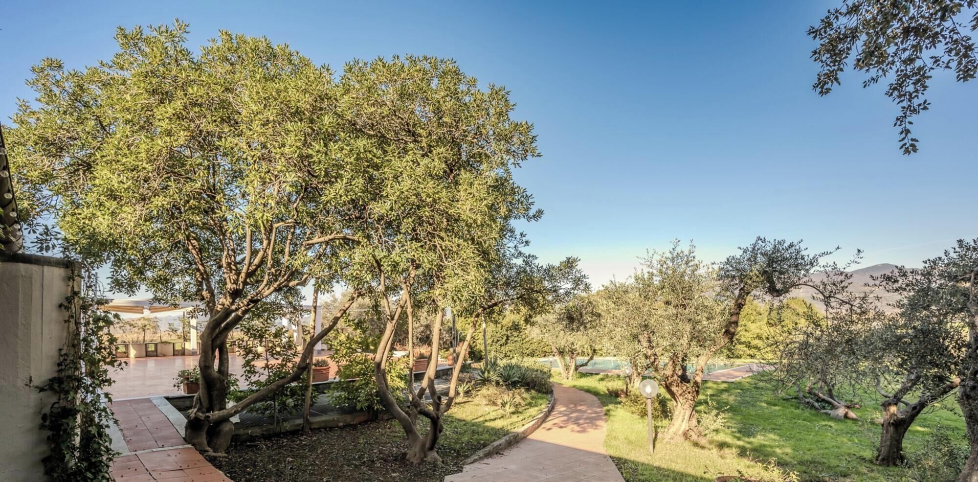 A landscaped garden with trees and a paved walkway.