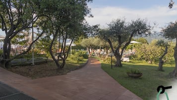 Jardín