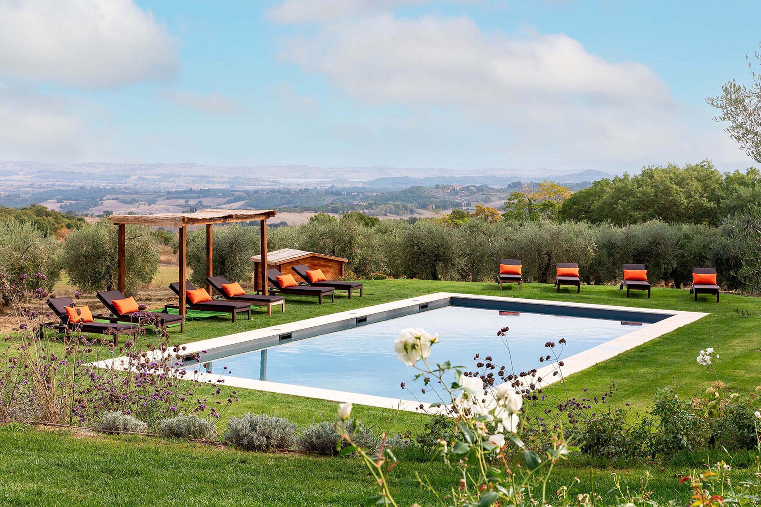 Une piscine rectangulaire entourée de pelouse et de plantes, avec des chaises longues et une pergola en arrière-plan.