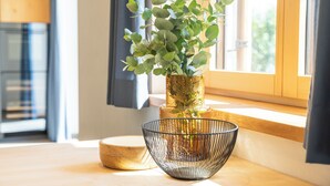 A plant in a vase on a wooden table near a window. - Suite Pfaffersee - barrier-free access with terrace and lake view (Chieming)