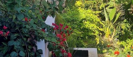 Jardines del alojamiento