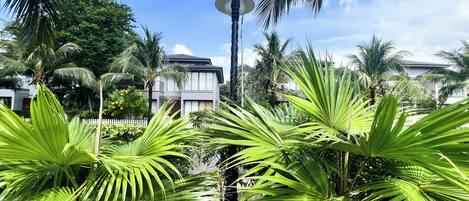 Piscina externa, espreguiçadeiras