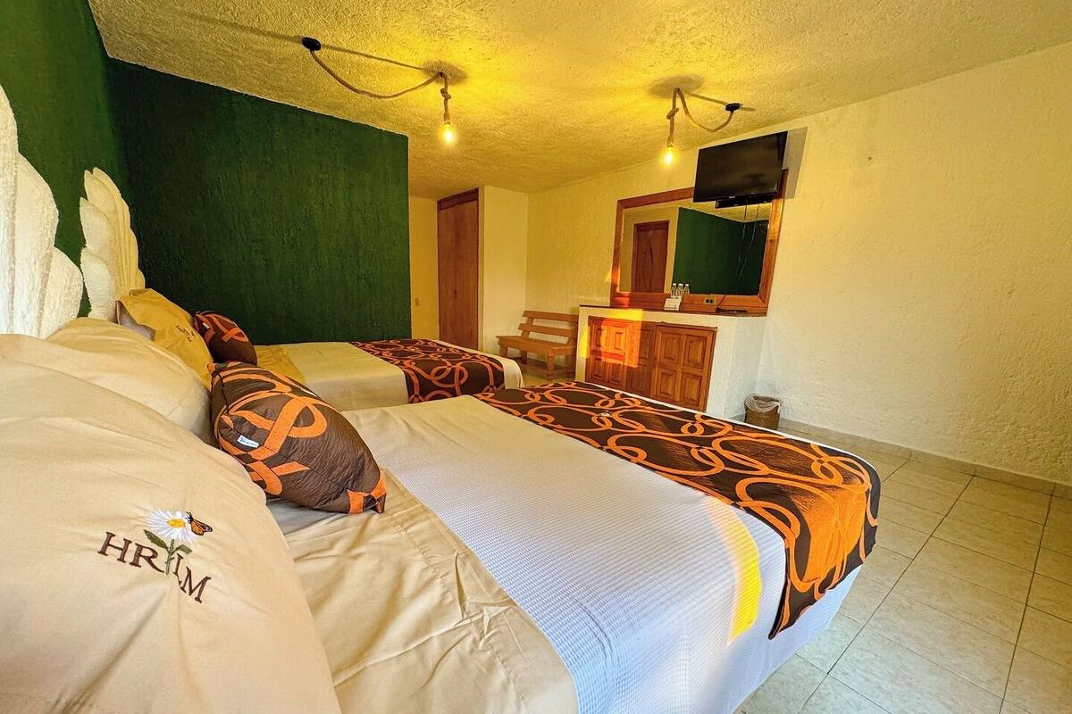 Une chambre d’hôtel avec deux lits, un mur d’accent vert, un banc en bois, une télévision et un petit bureau avec un miroir.