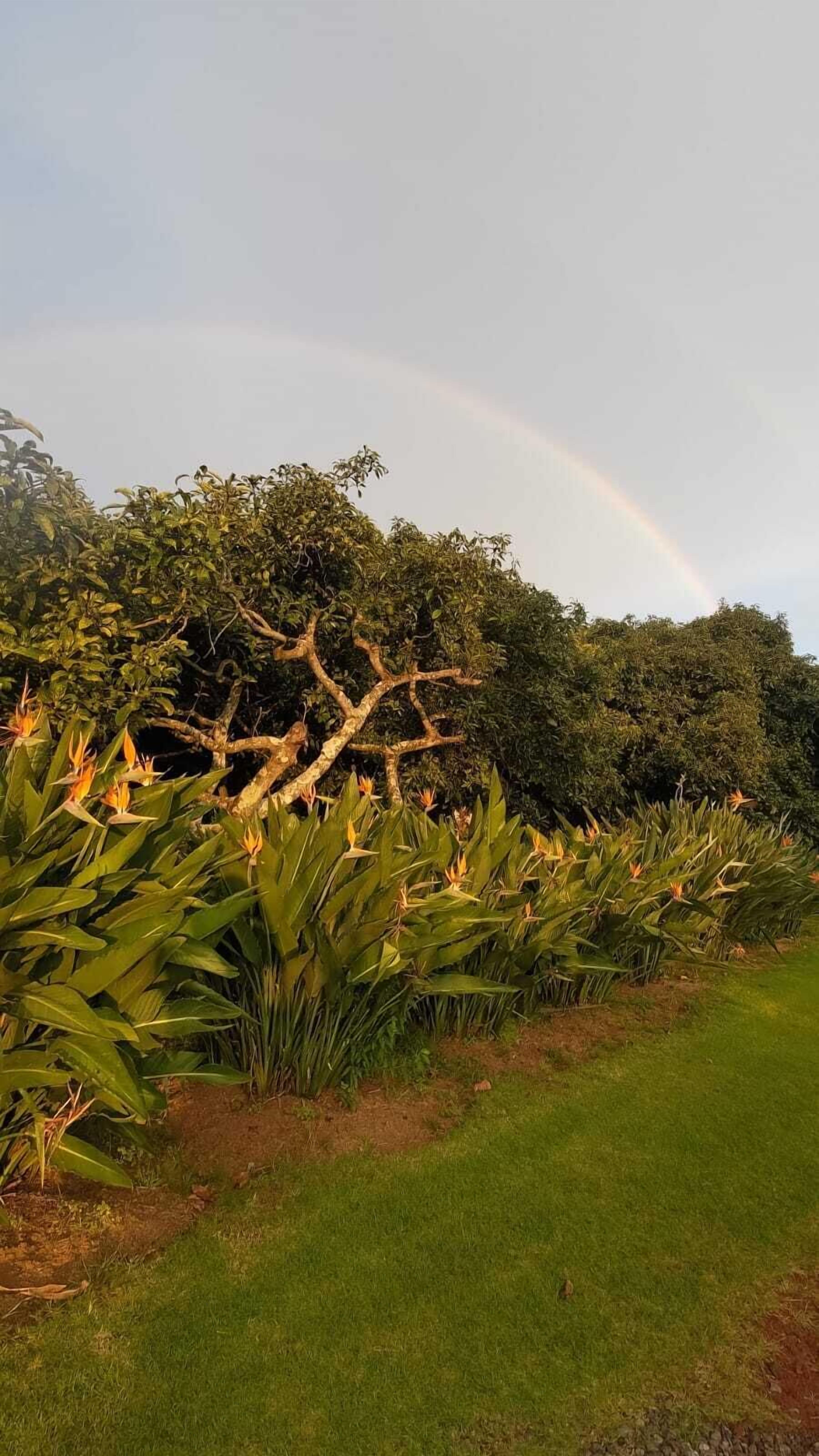 Photo - Hotel Rancho Las Margaritas