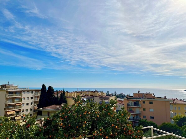 Vista dalla struttura