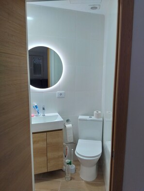 Hair dryer, towels, toilet paper