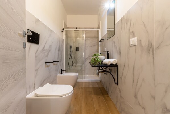 Shower, hair dryer, bidet, towels