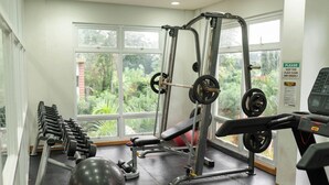 A gym with weightlifting equipment, a bench, and a large window with a view of greenery.