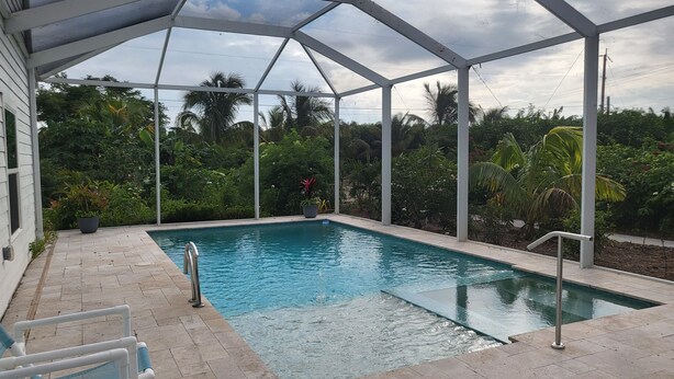 A pool with a metal railing, surrounded by lush greenery and a covered area with a metal frame.