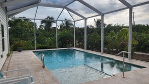 Une piscine entourée d’une luxuriante végétation, dotée d’une barrière métallique et bordée d’un espace abrité avec une structure en métal.