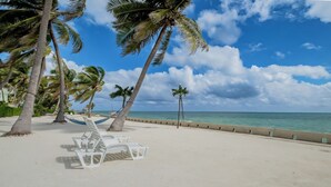 Une plage avec des chaises longues blanches et des palmiers.