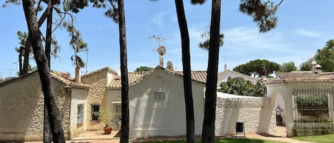 Cottage | Property grounds