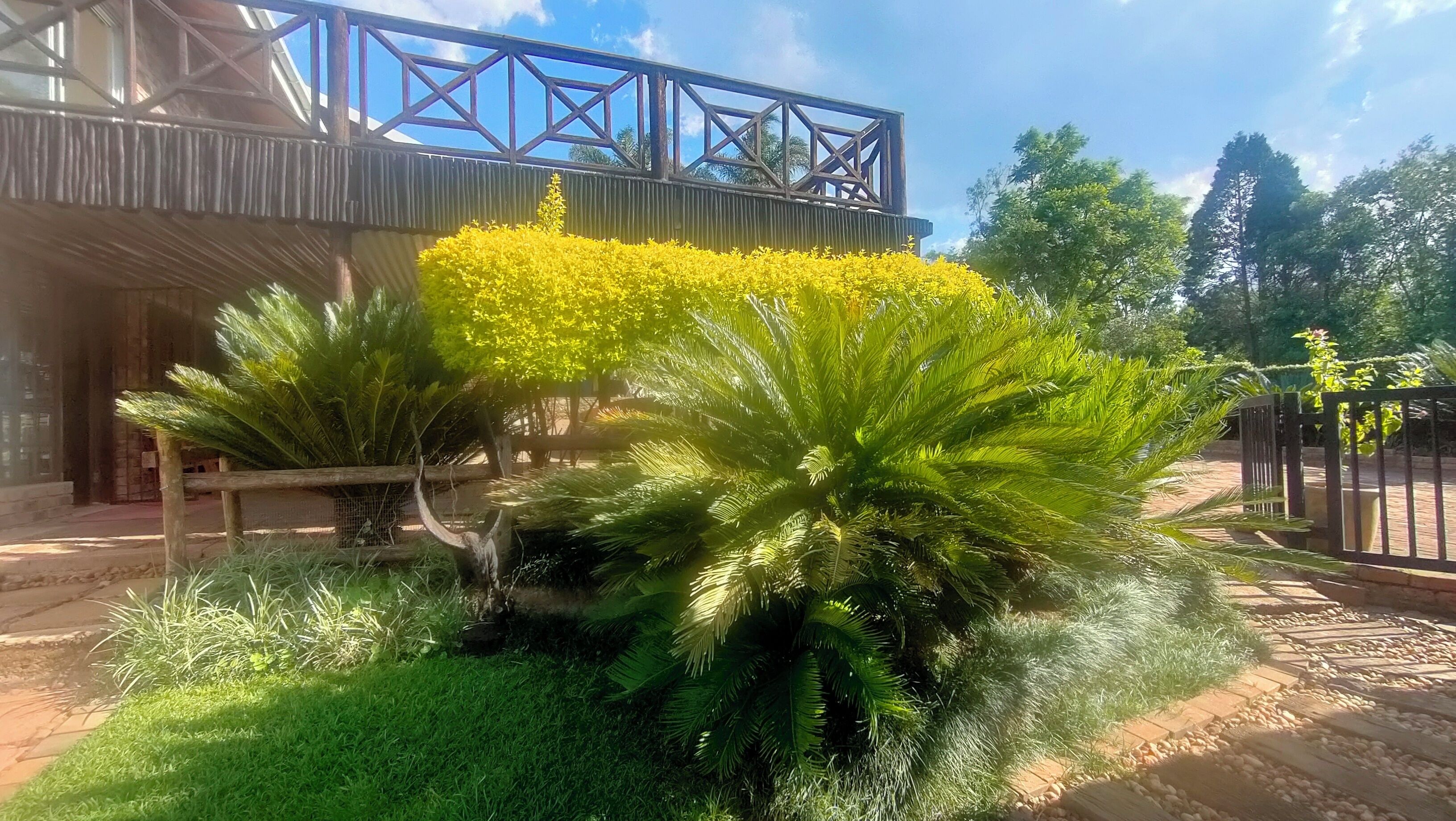 Enceinte de l’hébergement