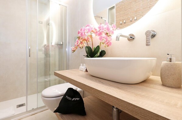 Eco-friendly toiletries, hair dryer