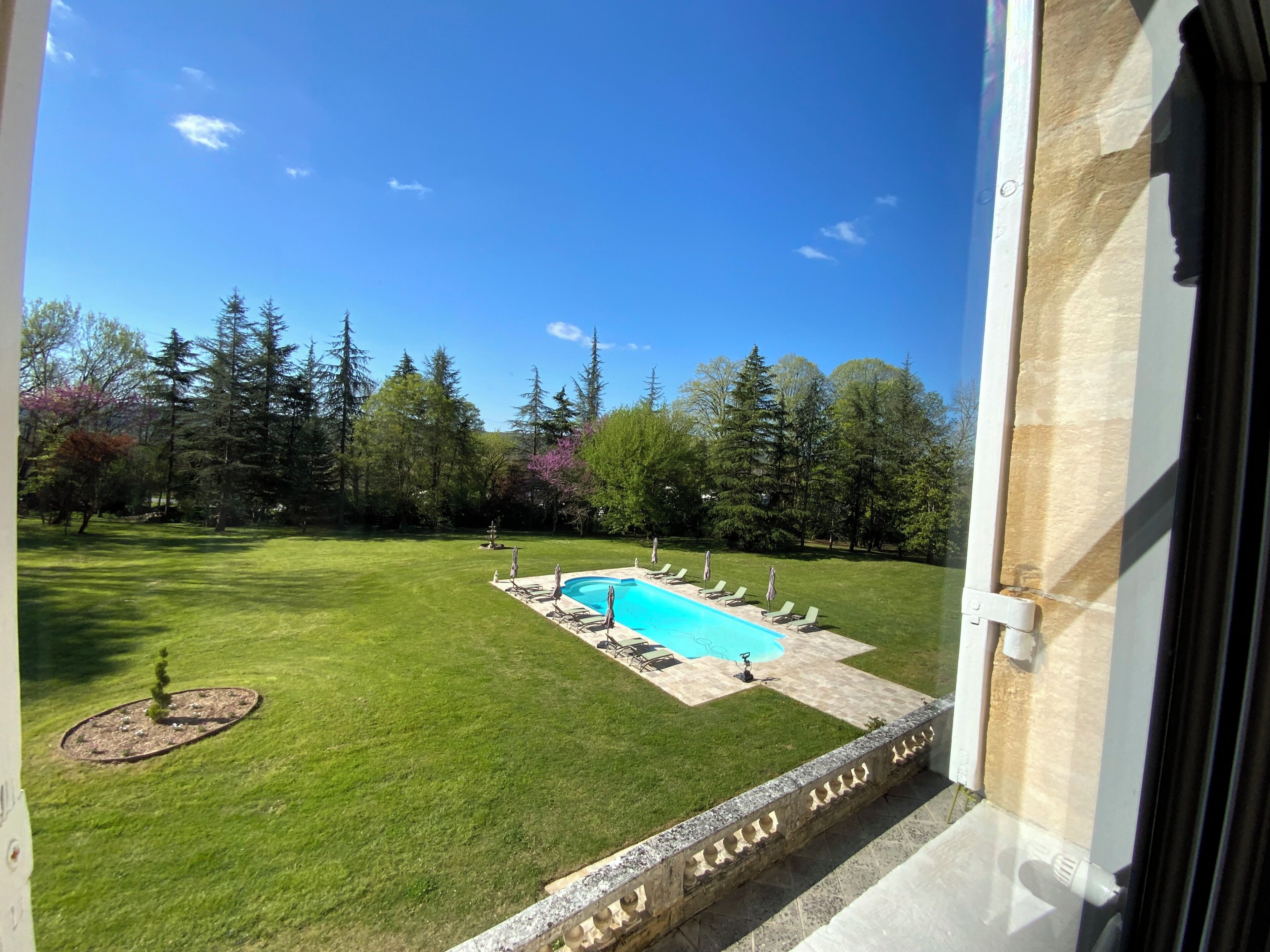 Vue d’une cour arrière avec une piscine, entourée d’une pelouse bien entretenue et d’arbres.