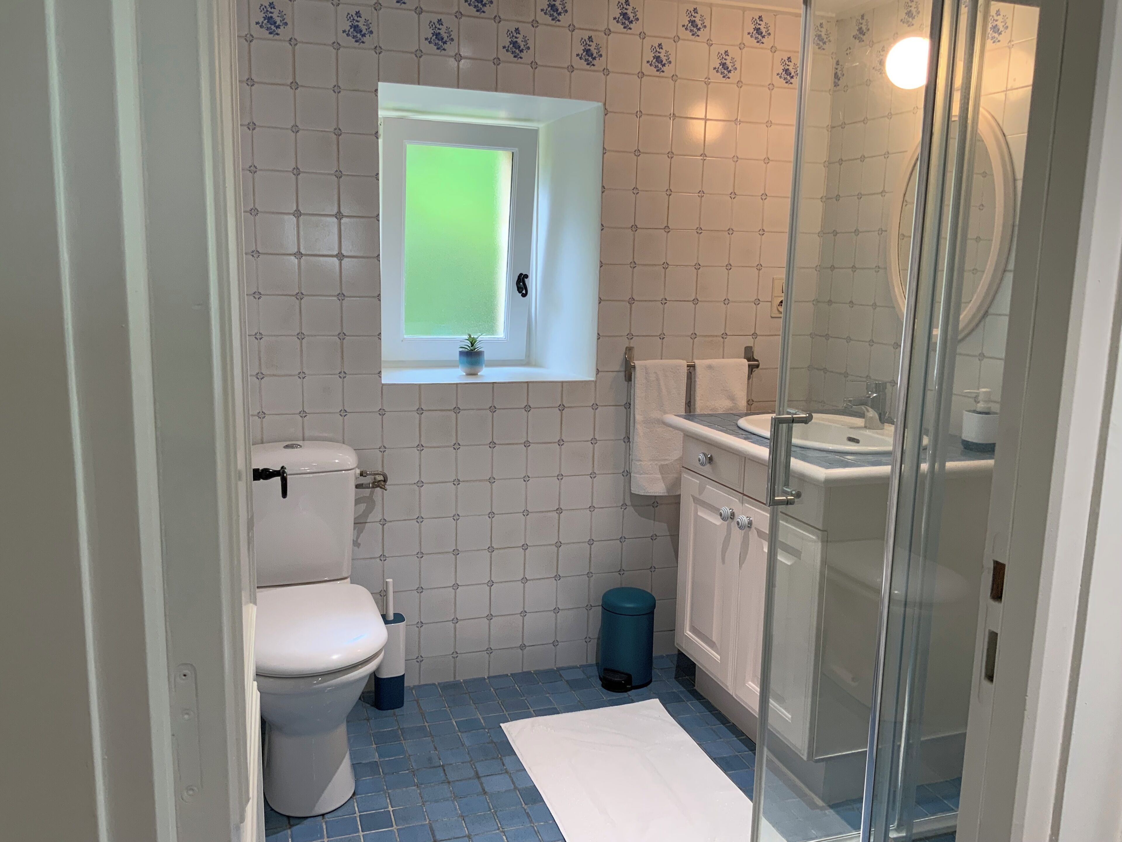 Une salle de bain équipée de toilettes, d’un lavabo et d’une douche.