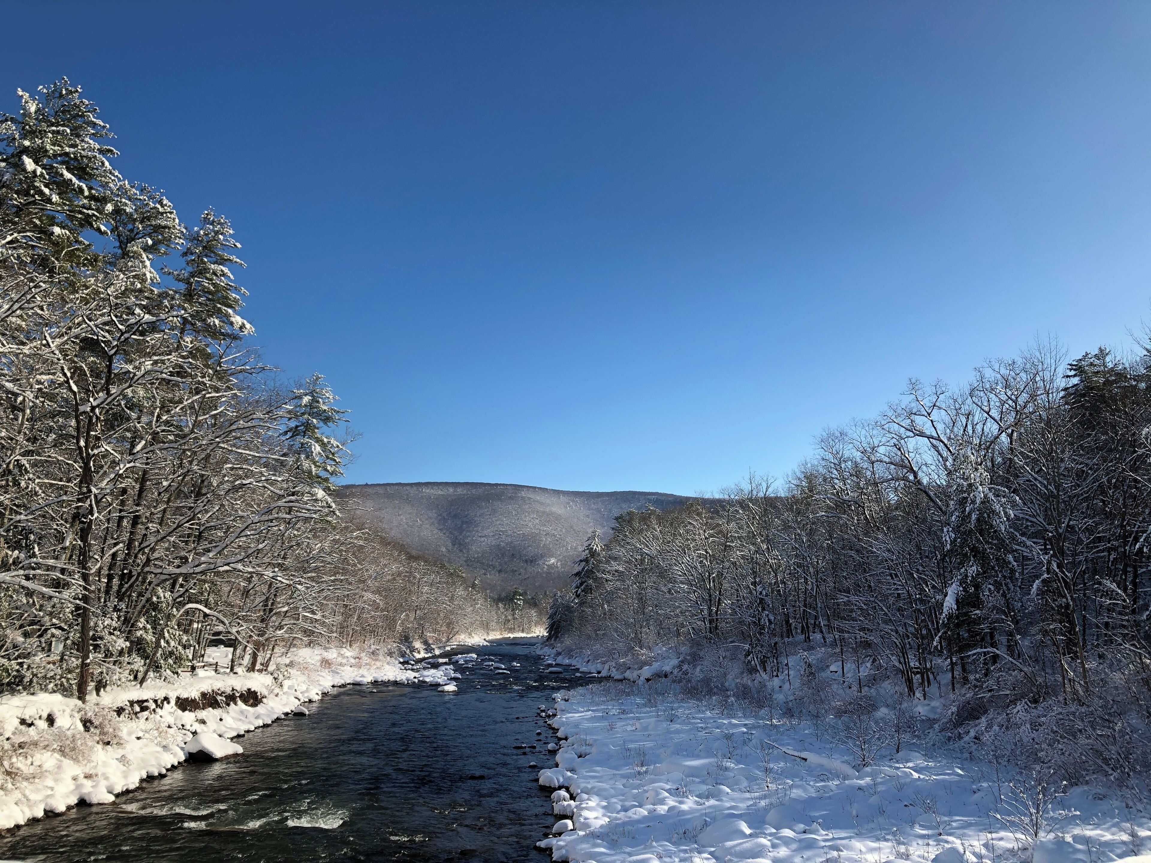 Une rivière recouverte de neige, bordée d’arbres sur les deux rives, et un ciel bleu clair.