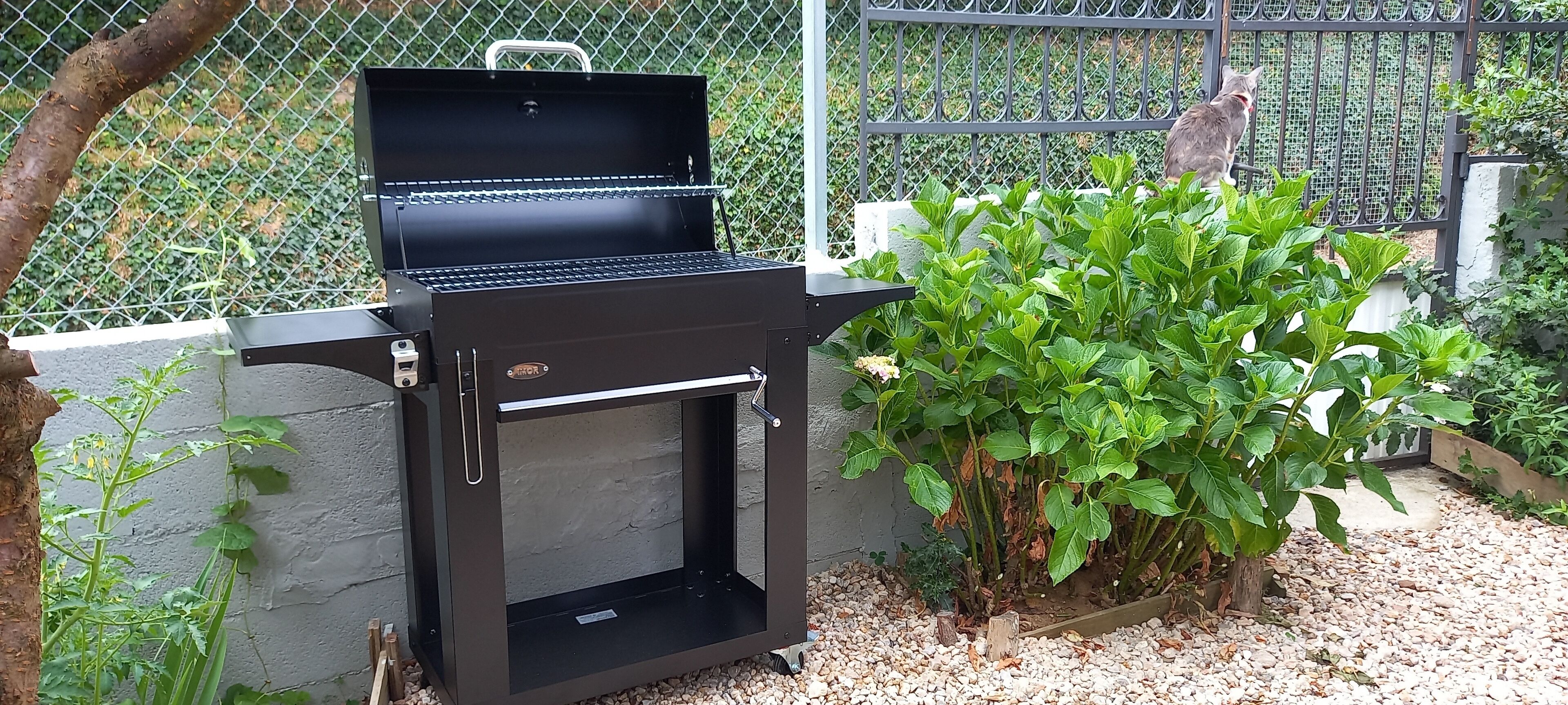 A barbecue grill with a closed lid, surrounded by greenery and a fence.