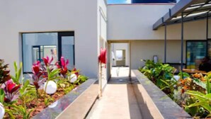 A pathway flanked by planters with various plants and decorative elements, leading to a building entrance.