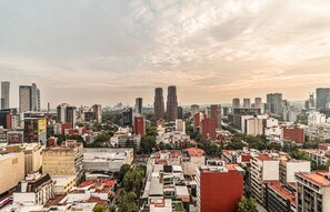 Vista desde la propiedad