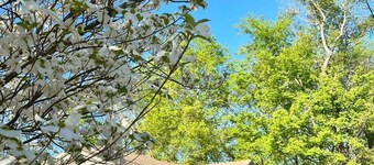 Centrally located, cozy, cottage style home in Paris, Arkansas.