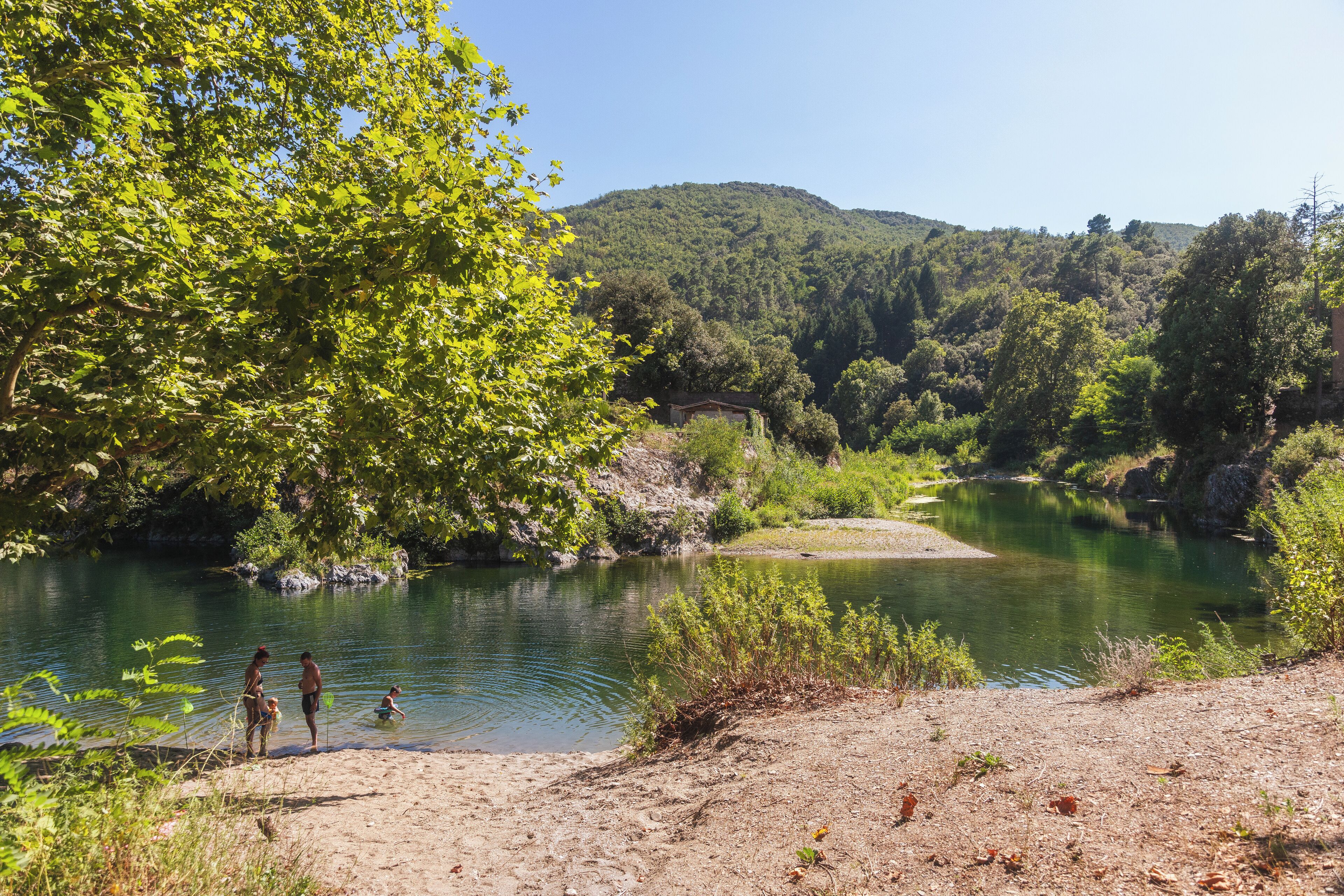 Un paisaje natural con un río, árboles y una colina al fondo.