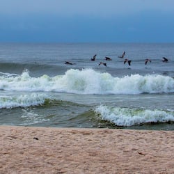 On the beach, white sand