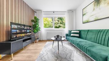 TV, fireplace