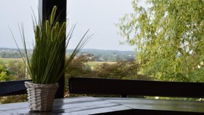 A wicker pot with green plants on a wooden bench by a window overlooking a rural landscape.