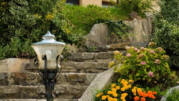 A stone staircase surrounded by lush greenery and vibrant flowers.