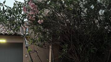 Details aan de buitenkant