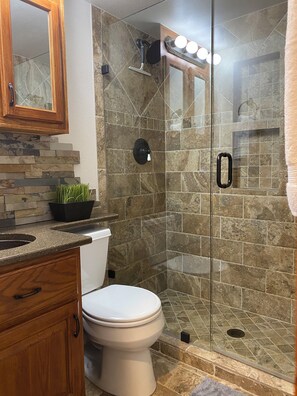 Hair dryer, towels, soap, shampoo