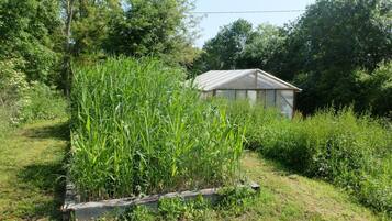 Área da propriedade