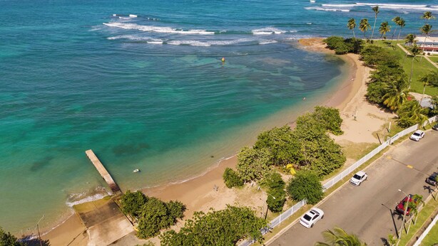 Vista costera con playa, palmeras y una carretera con coches aparcados.