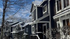 A row of two-story houses with snow-covered roofs and steps, surrounded by bare trees and a clear sky.