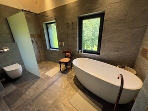 Shower, hair dryer, bidet, towels