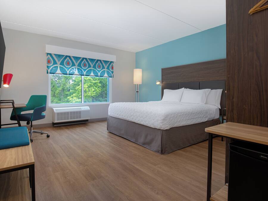 A hotel room with a bed, a desk, a chair, a TV, a window with a view of trees, and a heater.