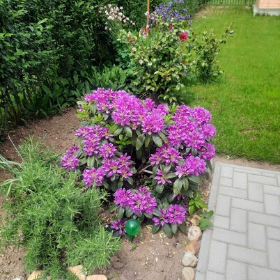 Vacation home with garden in Bad Bük, 150 m from the thermal spa