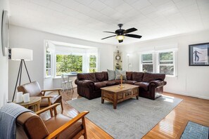 Smart TV, lareira, livros